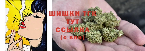 дурь Надым