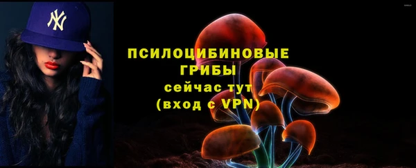 таблы Михайлов