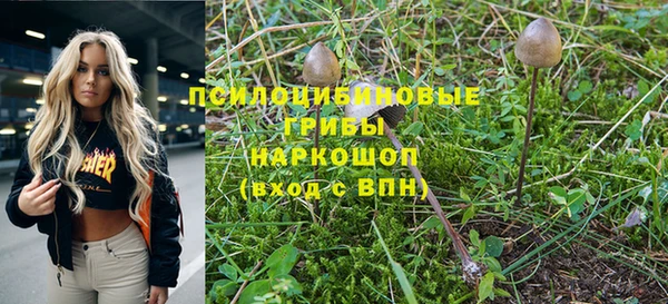 таблы Михайловск