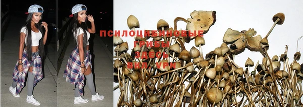 таблы Михайлов
